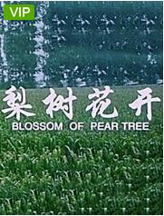 海報背景