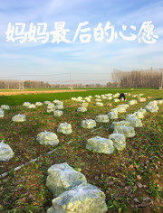 海報背景