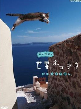 海報背景