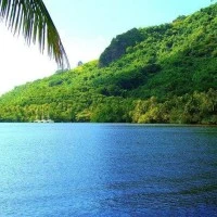 海報背景