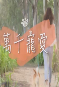 海報背景