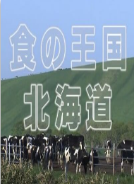 海報背景