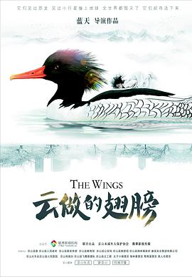 海報背景