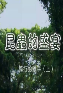 海報背景