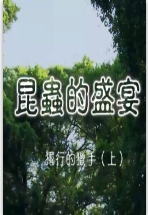 海報背景