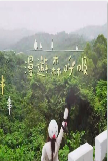 海報背景