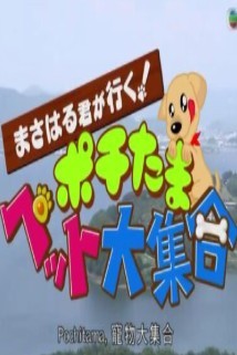 海報背景