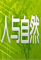 海報背景