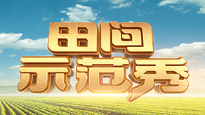 海報背景