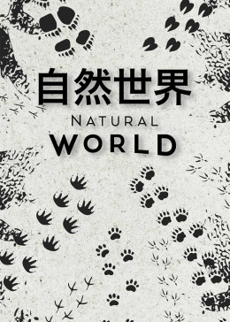 海報背景