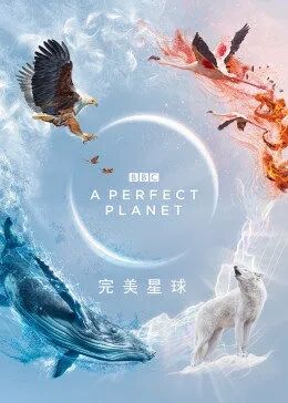 海報背景