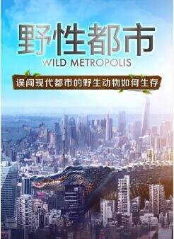 海報背景