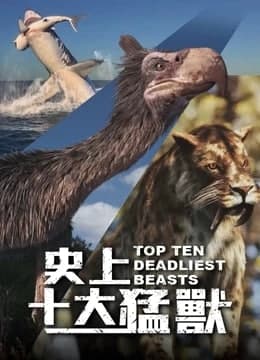 海報背景