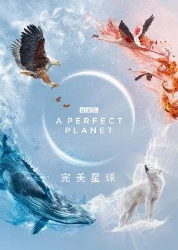海報背景