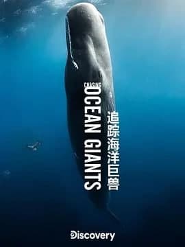 海報背景