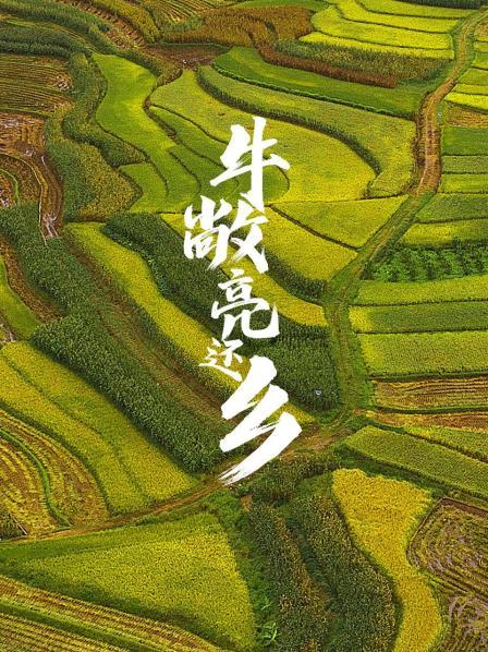 海報背景