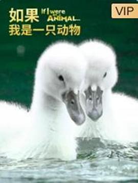 海報背景