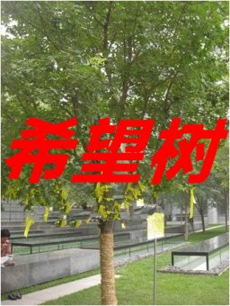 海報背景