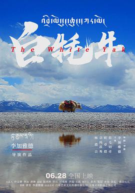 海報背景