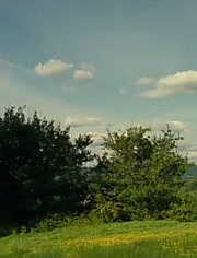海報背景