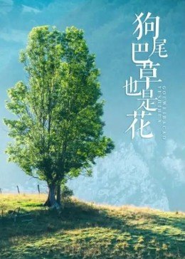 海報背景