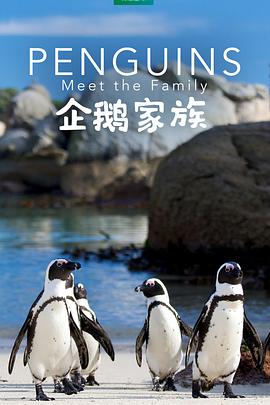 海報背景