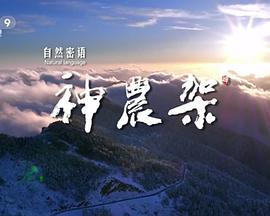 海報背景