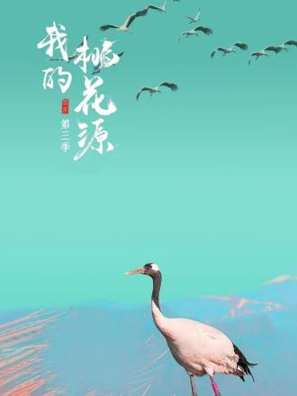 海報背景