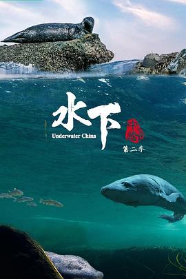 海報背景