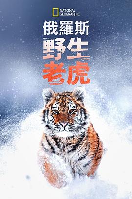 海報背景