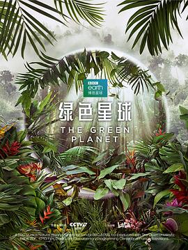 海報背景