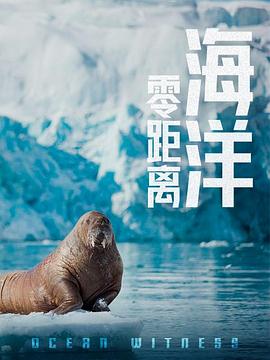 海報背景