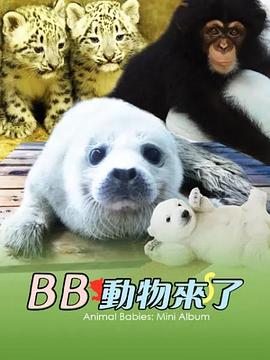 海報背景