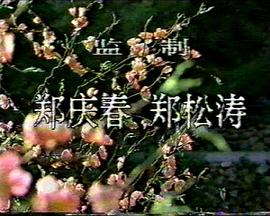 海報背景