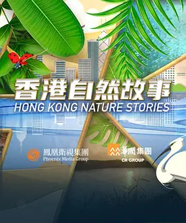 海報背景
