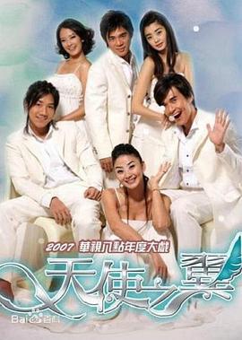 天使之翼2007封面圖