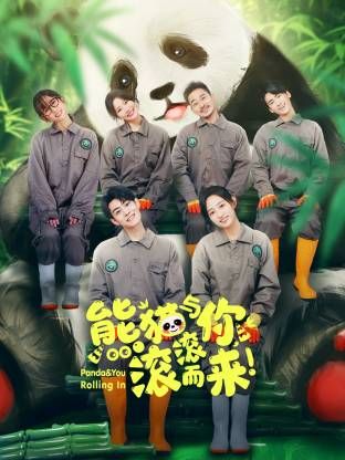 熊貓與你，滾滾而來！封面圖