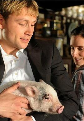 絕對保險封面圖