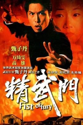 精武門1995封面圖