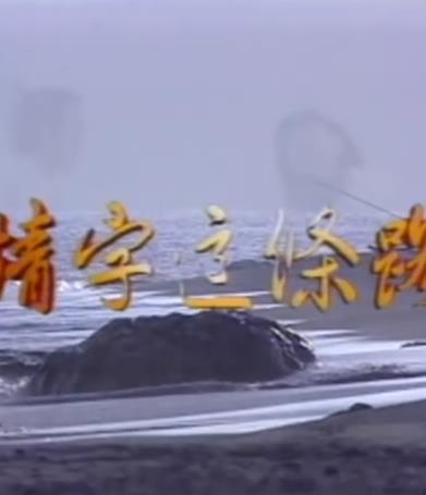 情字這條路封面圖