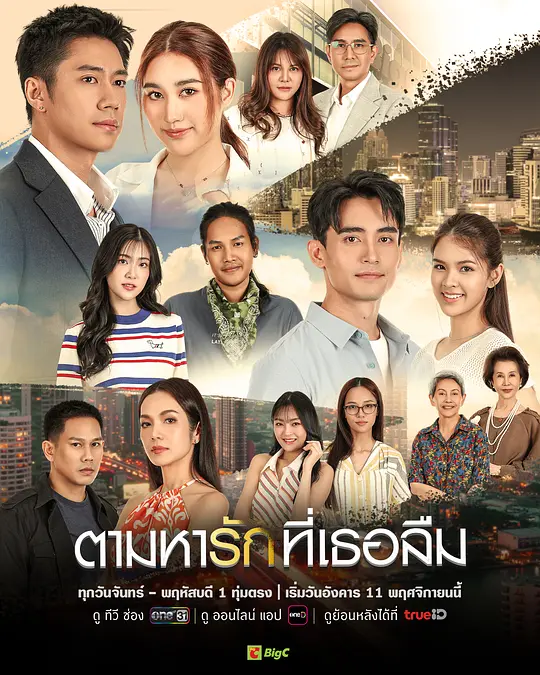 找尋遺忘的愛封面圖