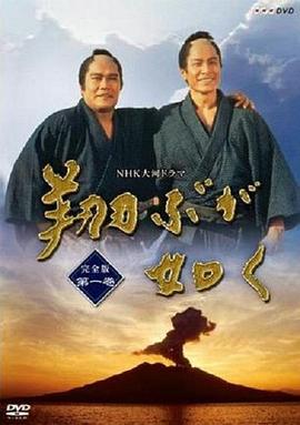 宛如飛翔封面圖