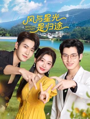 風與星光是歸途封面圖