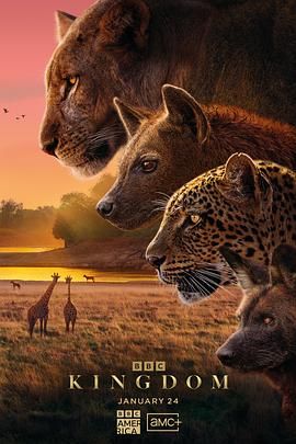 動物王國2025封面圖